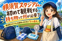 横須賀スタジアムで初めて観戦する持ち物って何が必要？